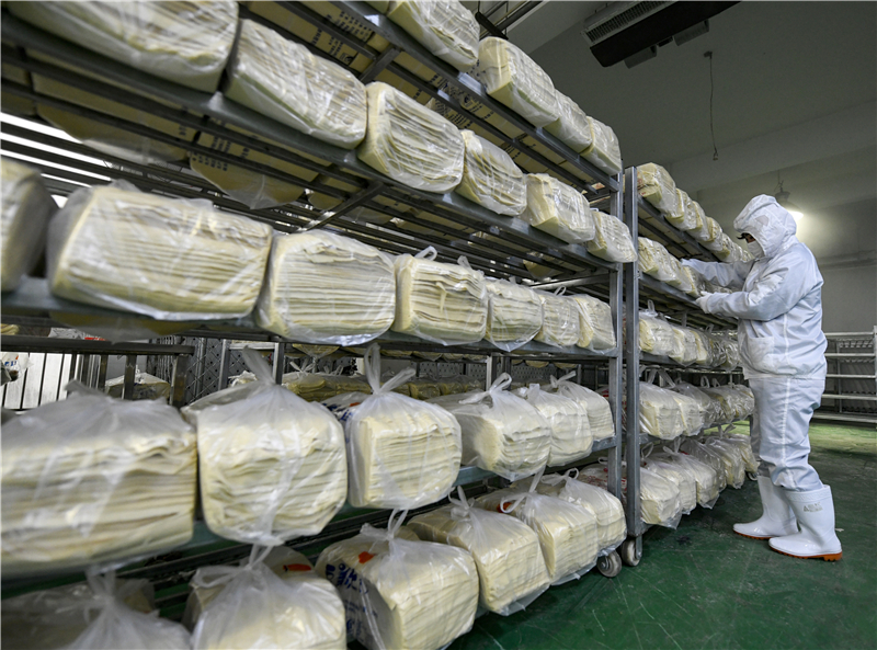 河北隆化 豆片飄香助農(nóng)增收致富——《豆制品加工》特寫